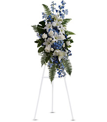 Ocean Breeze Spray from Martinsville Florist, flower shop in Martinsville, NJ